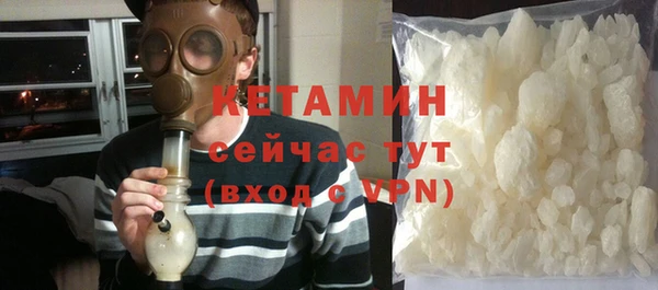 шишки Заводоуковск