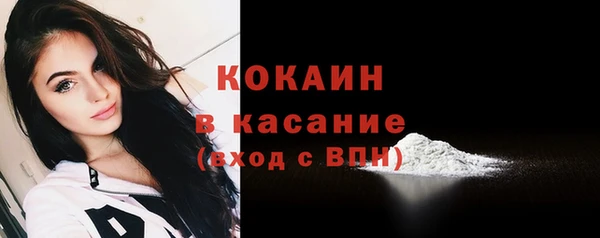 шишки Заводоуковск