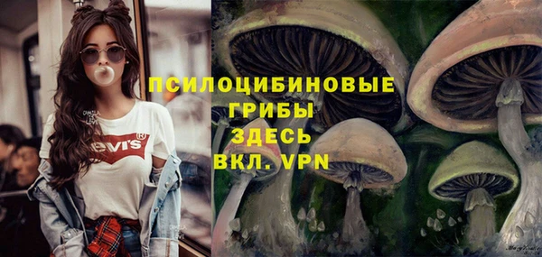 альфа пвп Заволжье