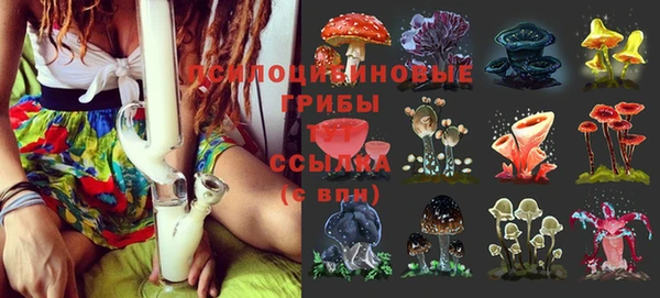 альфа пвп Заволжье
