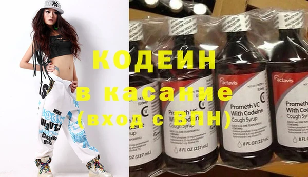 шишки Заводоуковск