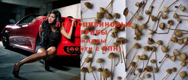 шишки Заводоуковск