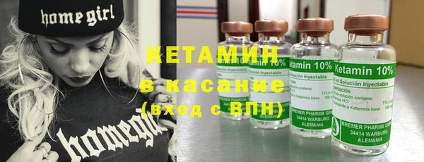 шишки Заводоуковск