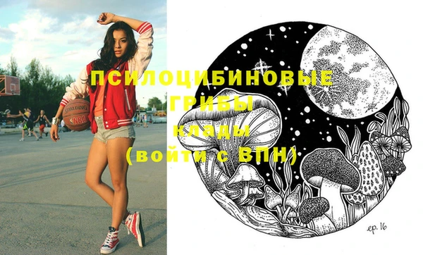 альфа пвп Заволжье